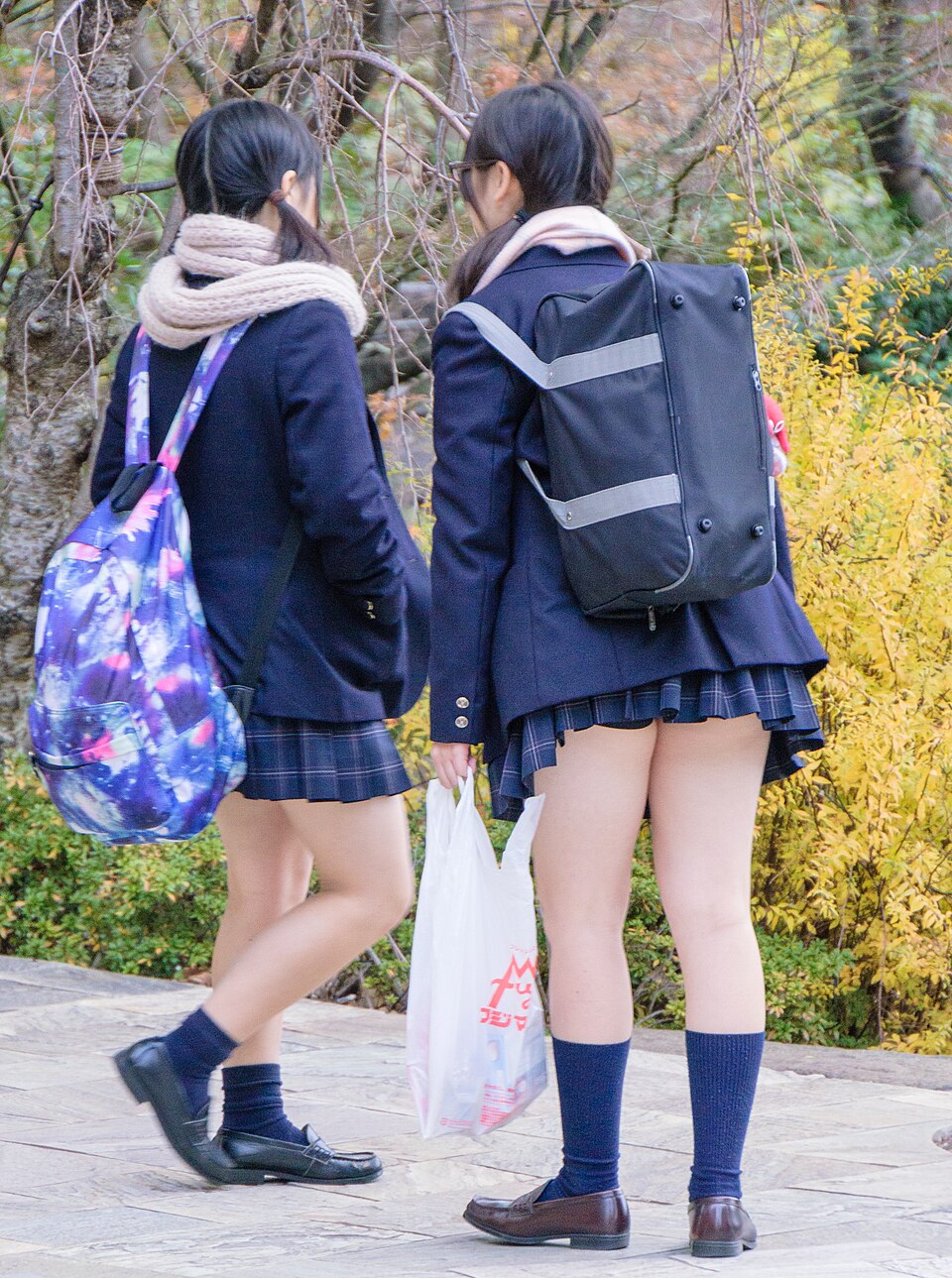 六本木ヒルズアリーナ