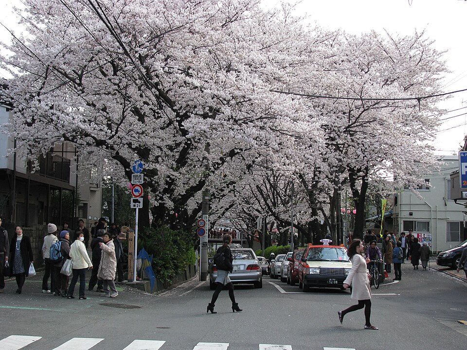 停车场