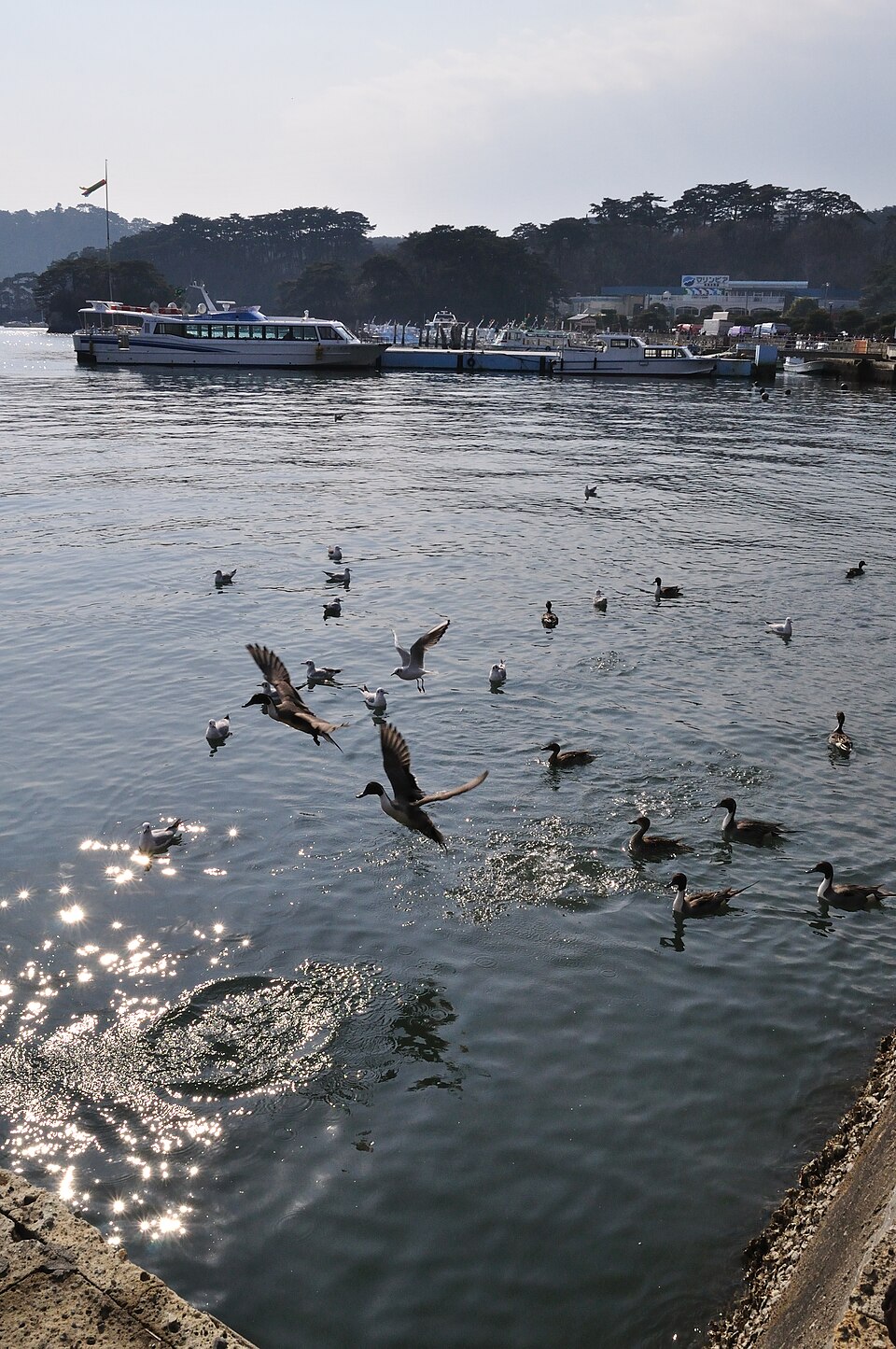 仙台​松島海岸