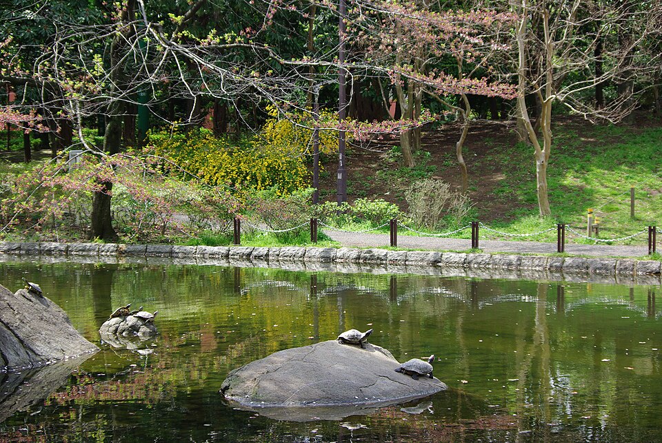 蚕糸の森公園（いこいの広場）