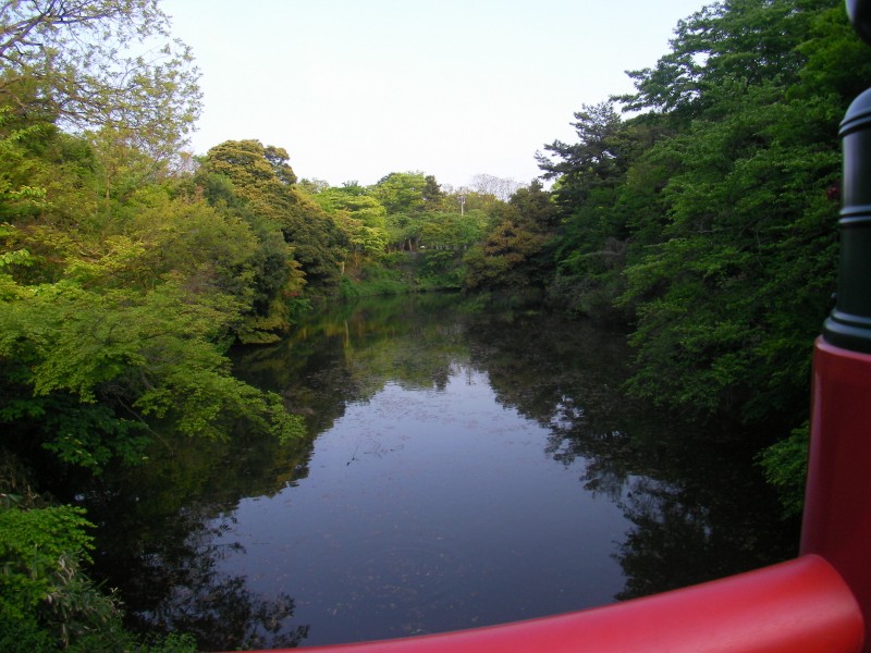 中の島