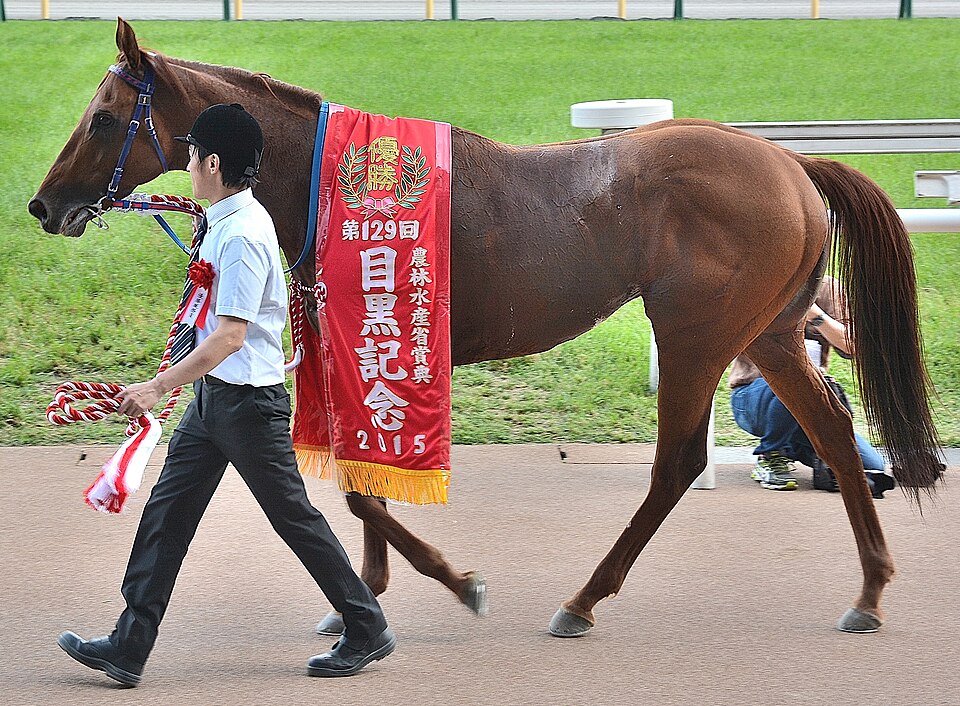 東京競馬場コース