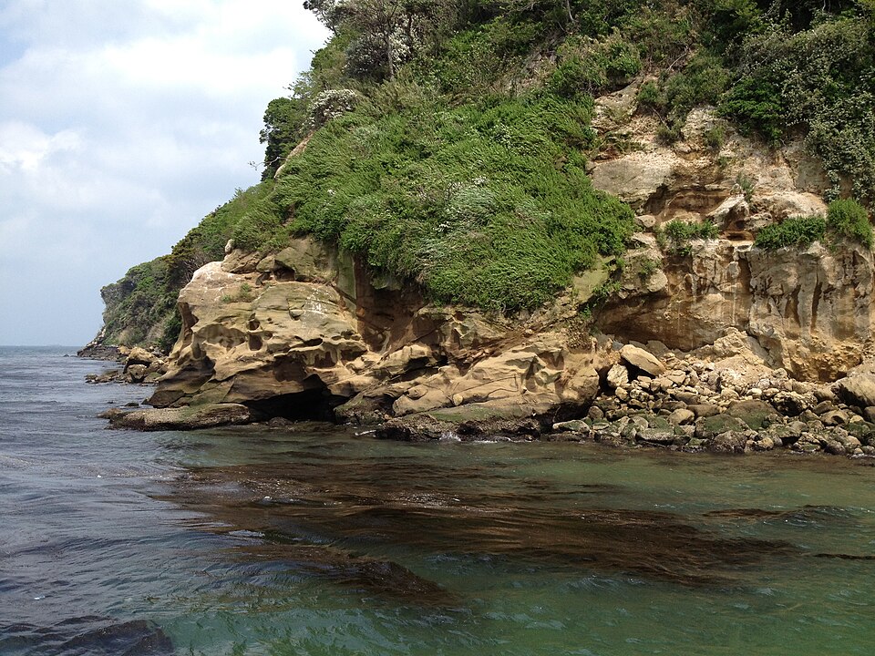 猿島