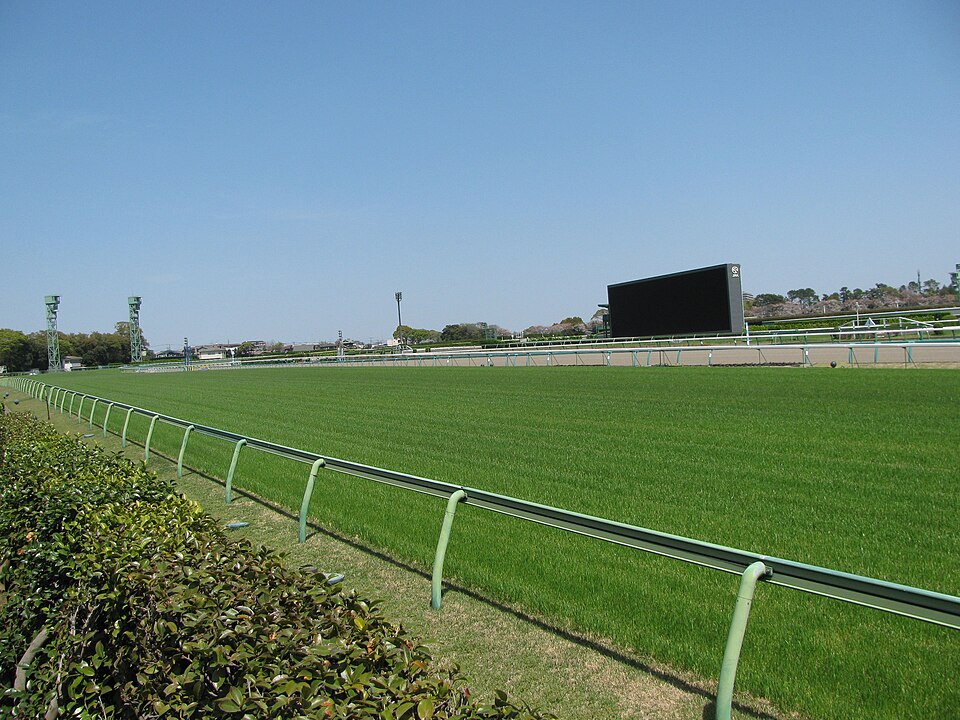 レース場