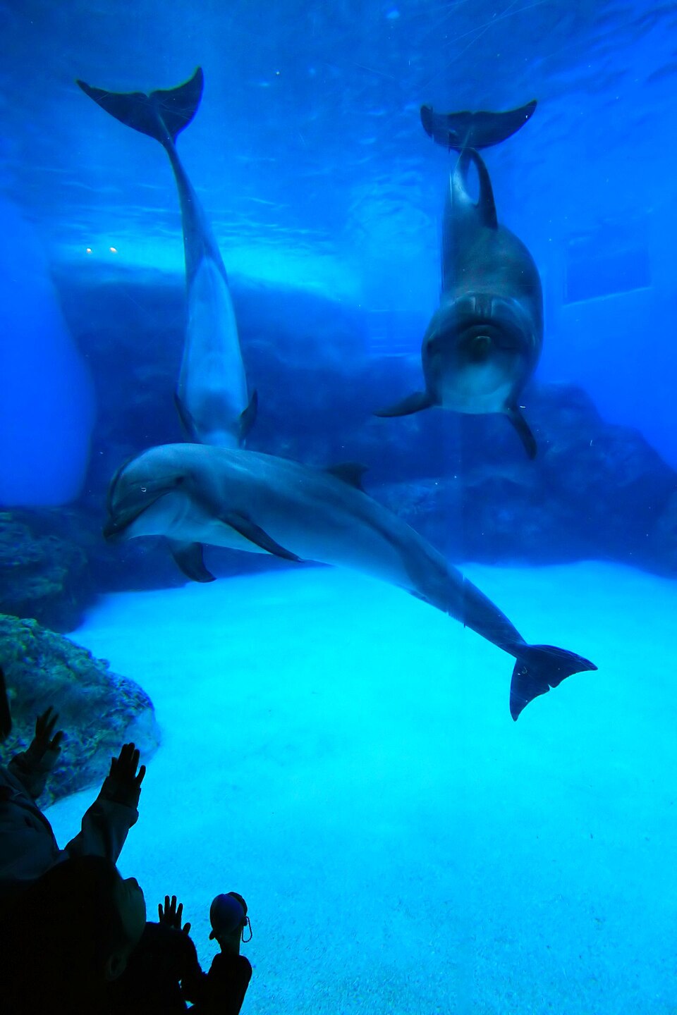 名古屋港水族館 门口