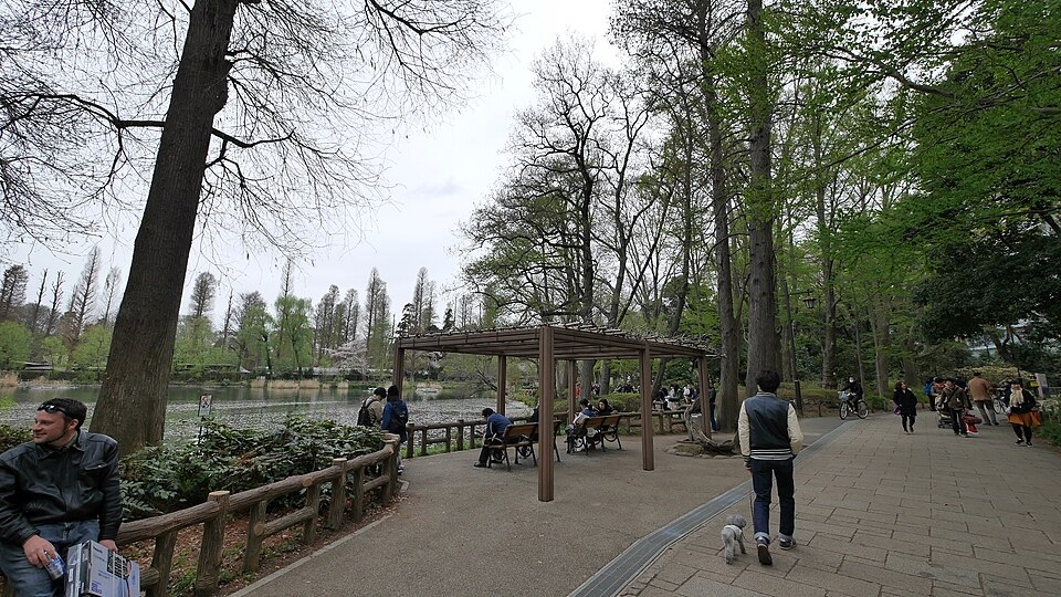井の頭公園のベンチ
