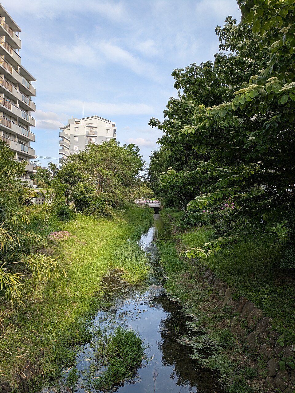 第二防災公園附近
