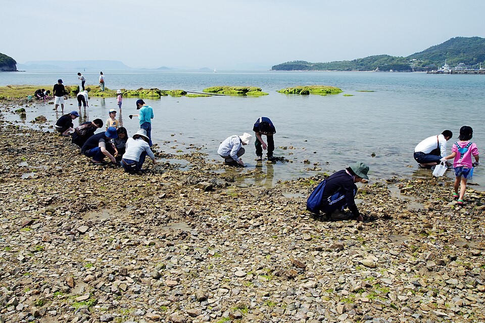 弁天島(中与島)