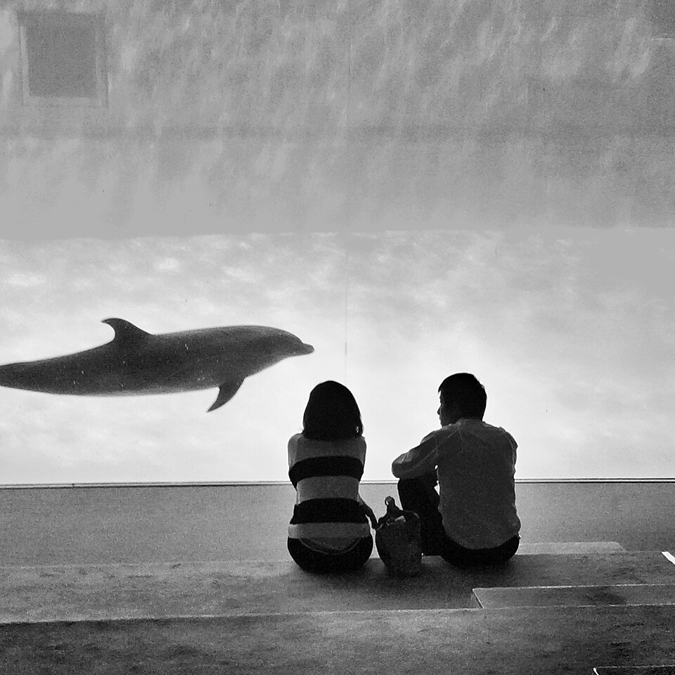 名古屋港水族館