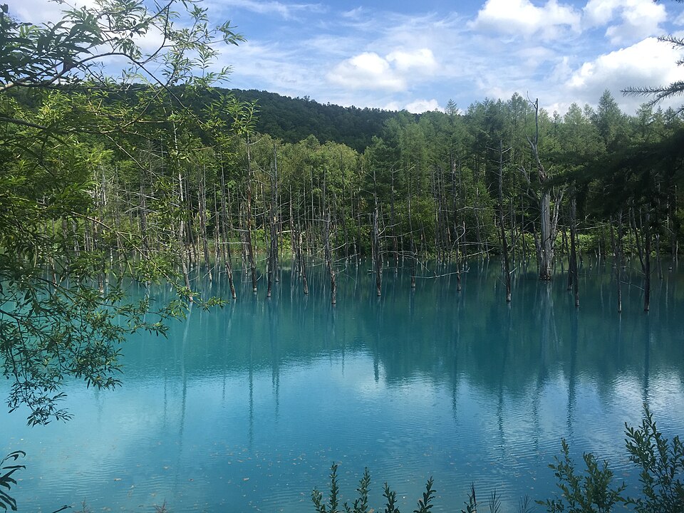 青い池