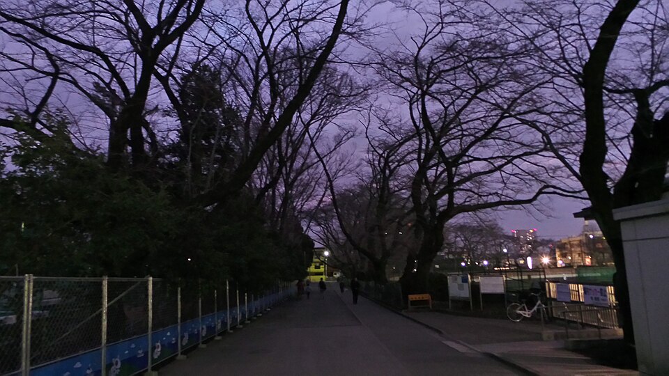 スリーボンドスタジアムハ 王子（富士森公園野球場）