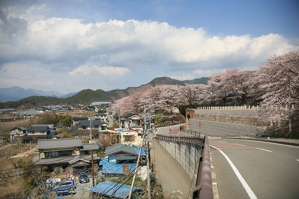 勝沼ぶどう郷駅前広場／甚六桜