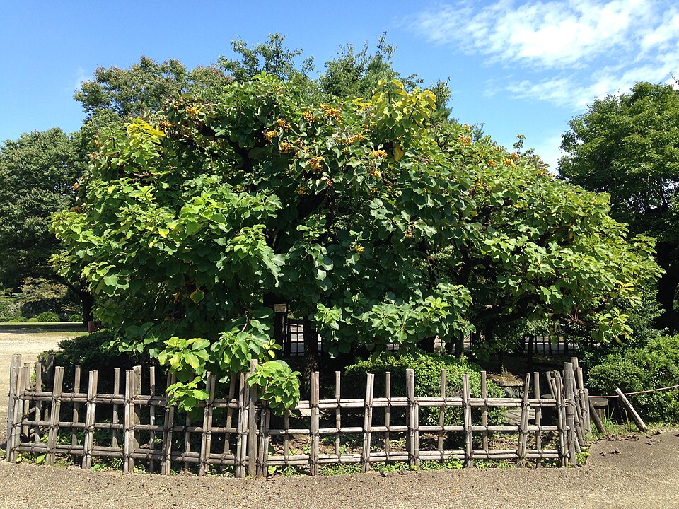 名古屋城二の丸広場