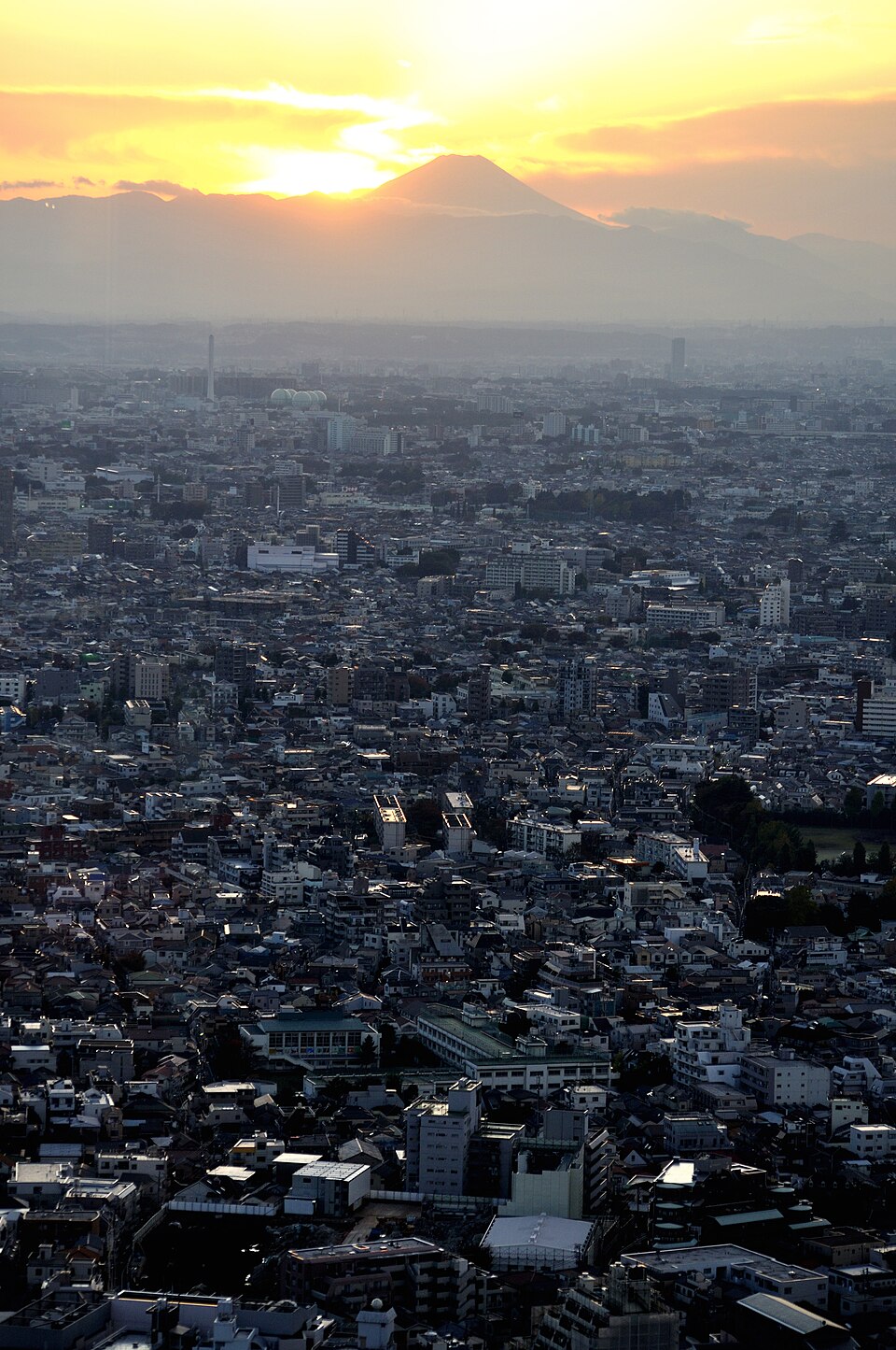 東京都庁舎
