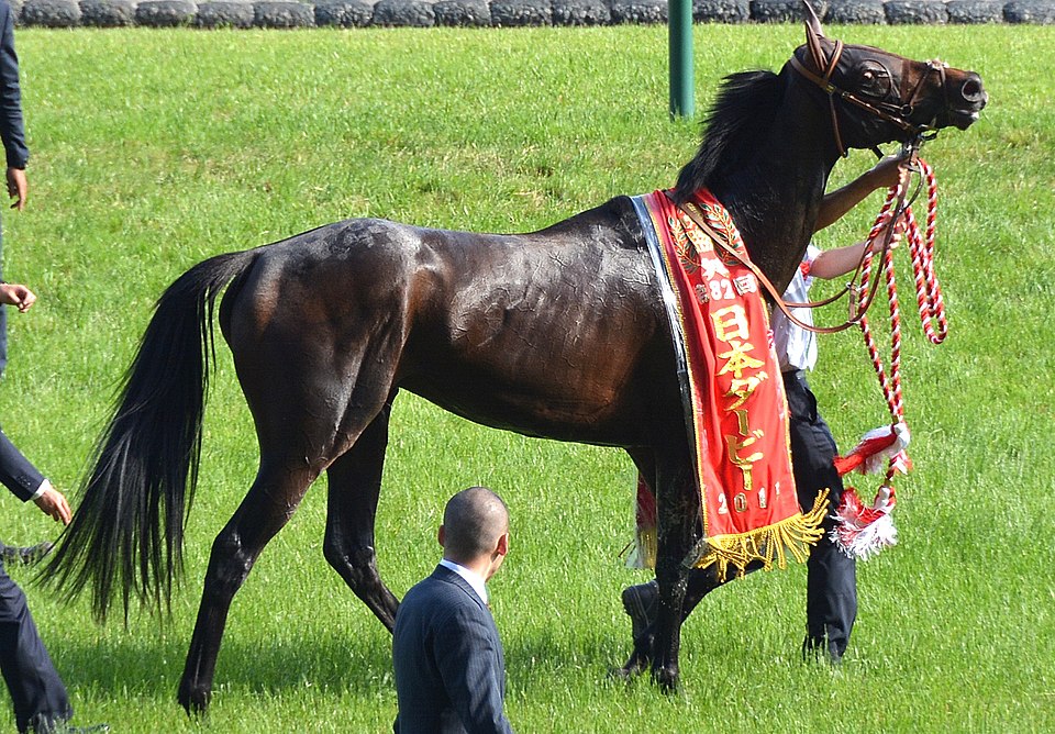 東京競馬場