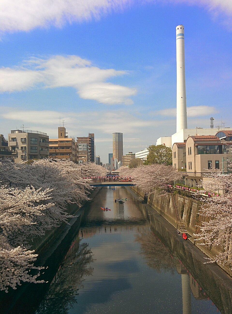 田道広場公園