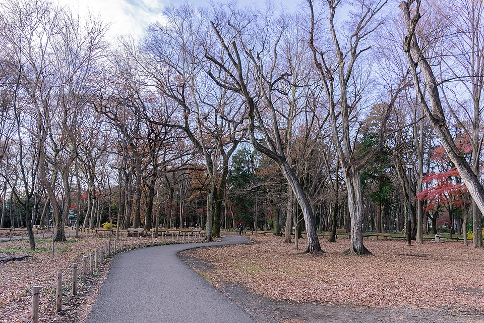 大盛寺