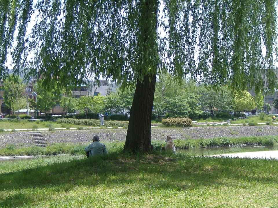 丸太町橋