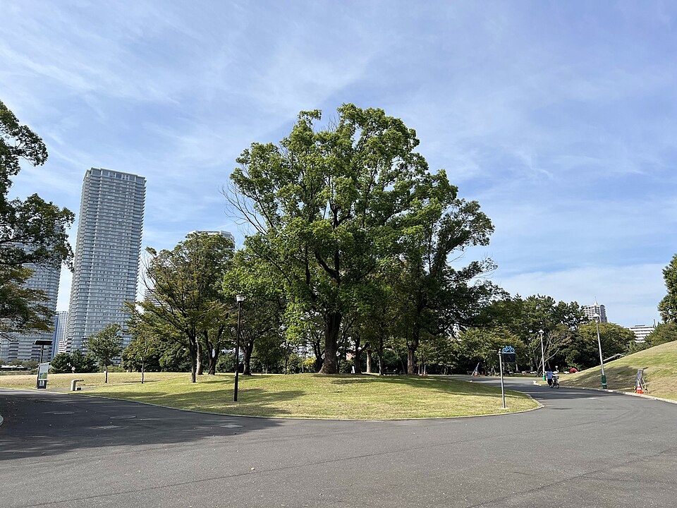 首都高速湾岸線辰巳JCT 辰巳PA