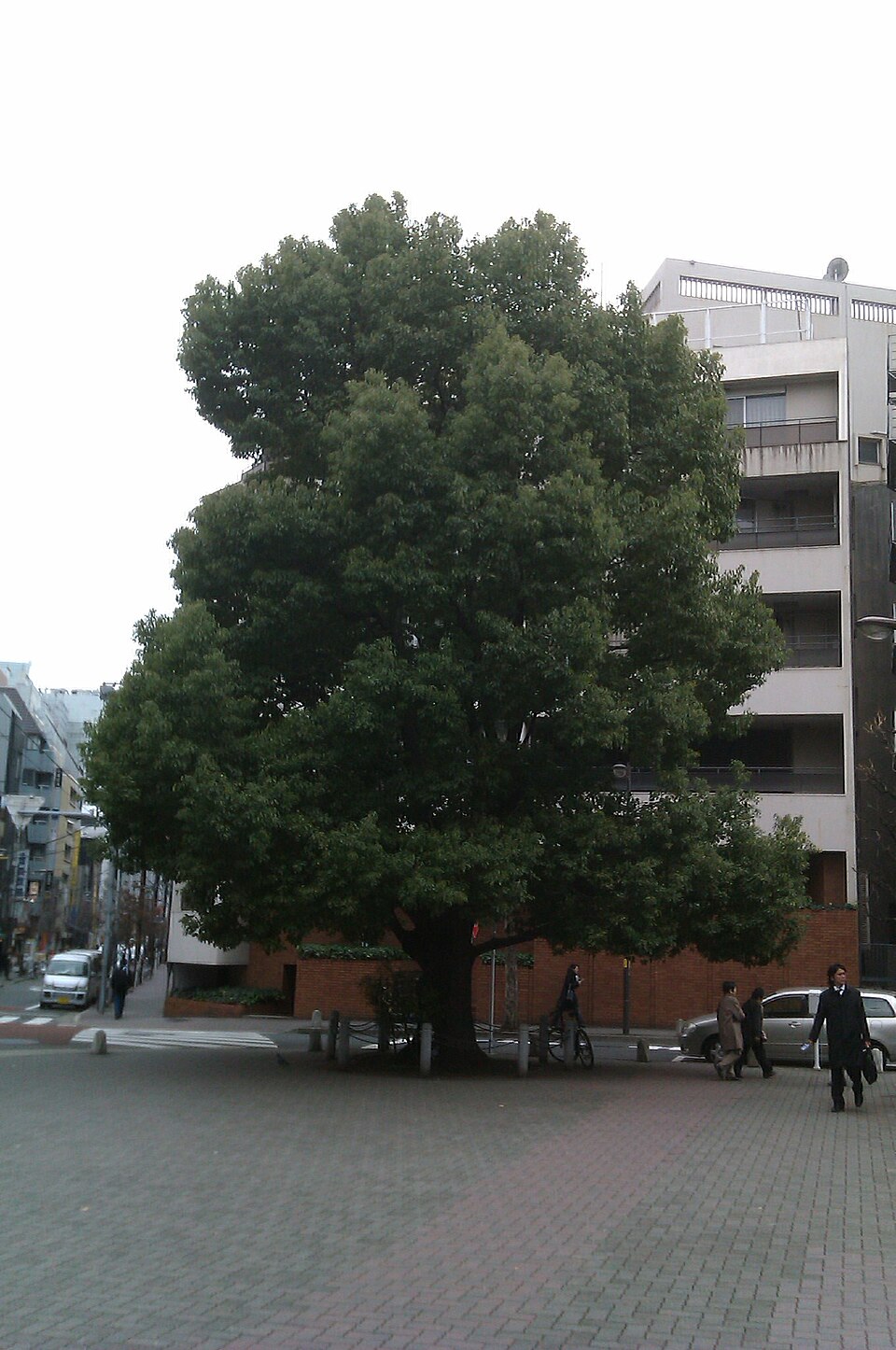 太田姫稲荷神社