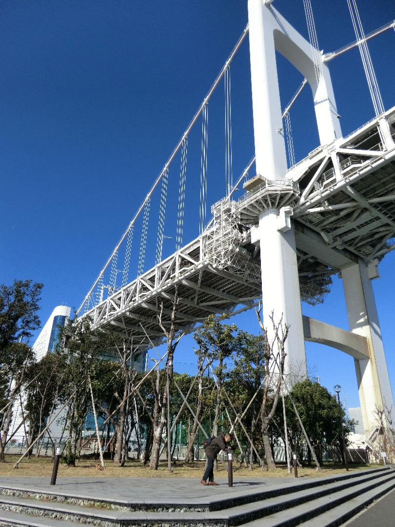 芝浦​南​ふ頭​公園​運動​広場
