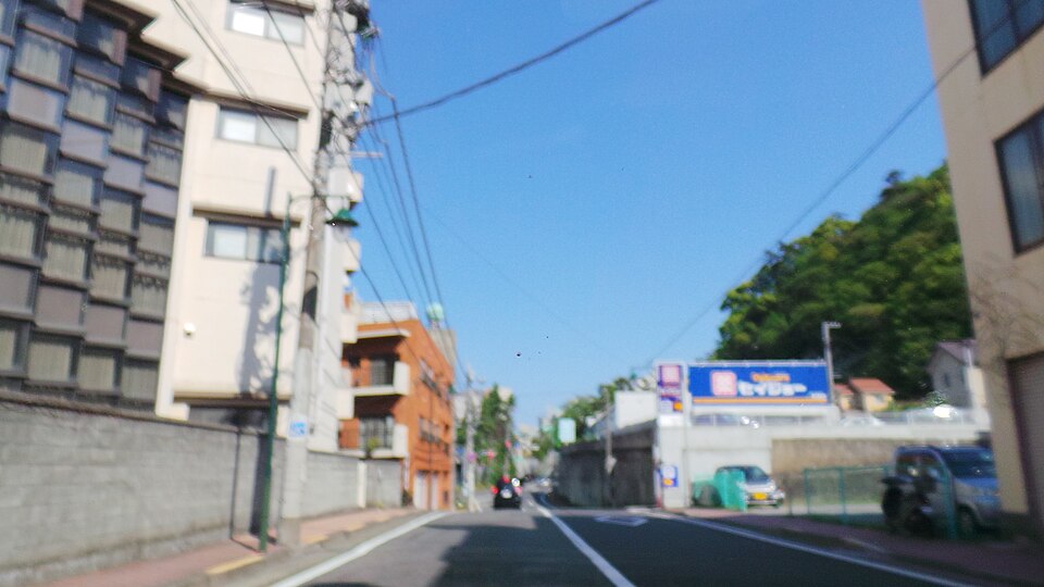 ホテル大野屋