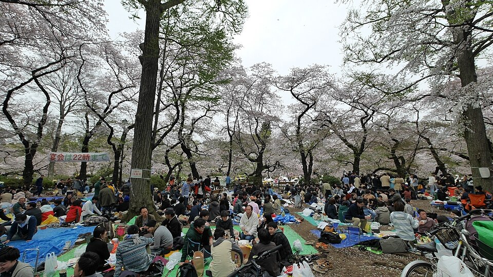 井の頭公園