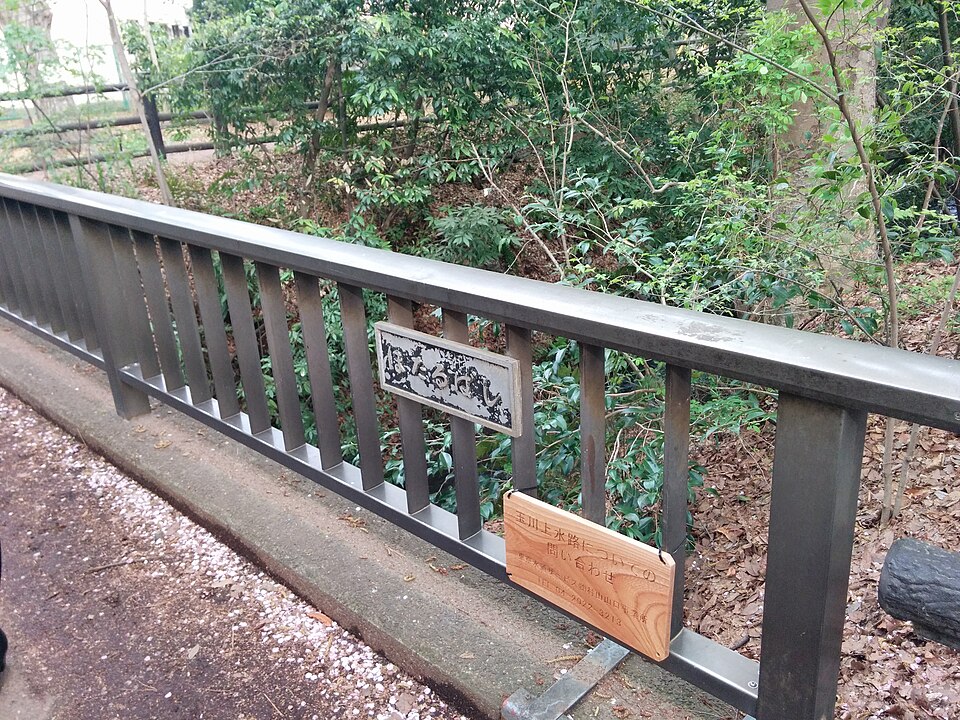 井の頭公園