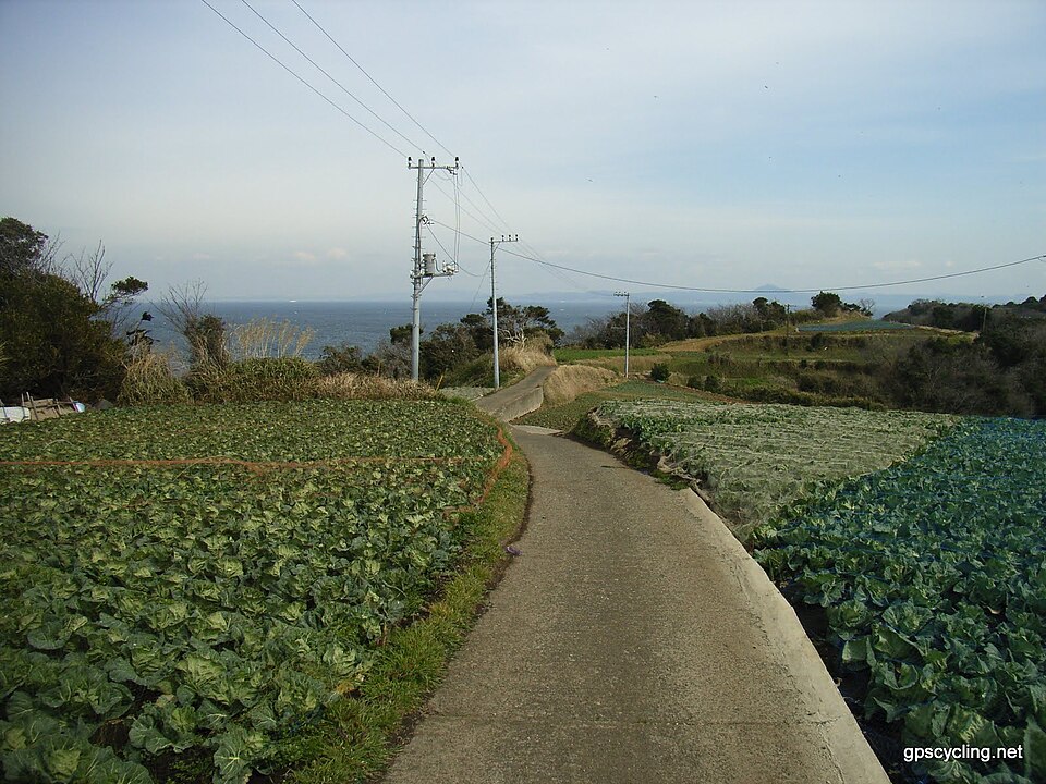 海岸道路