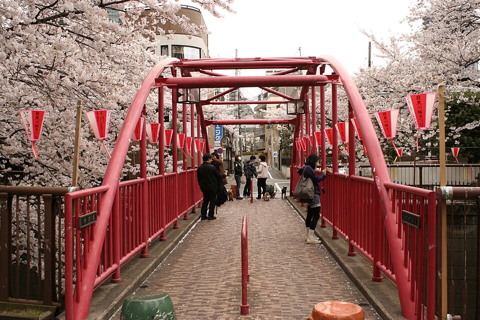 中の橋