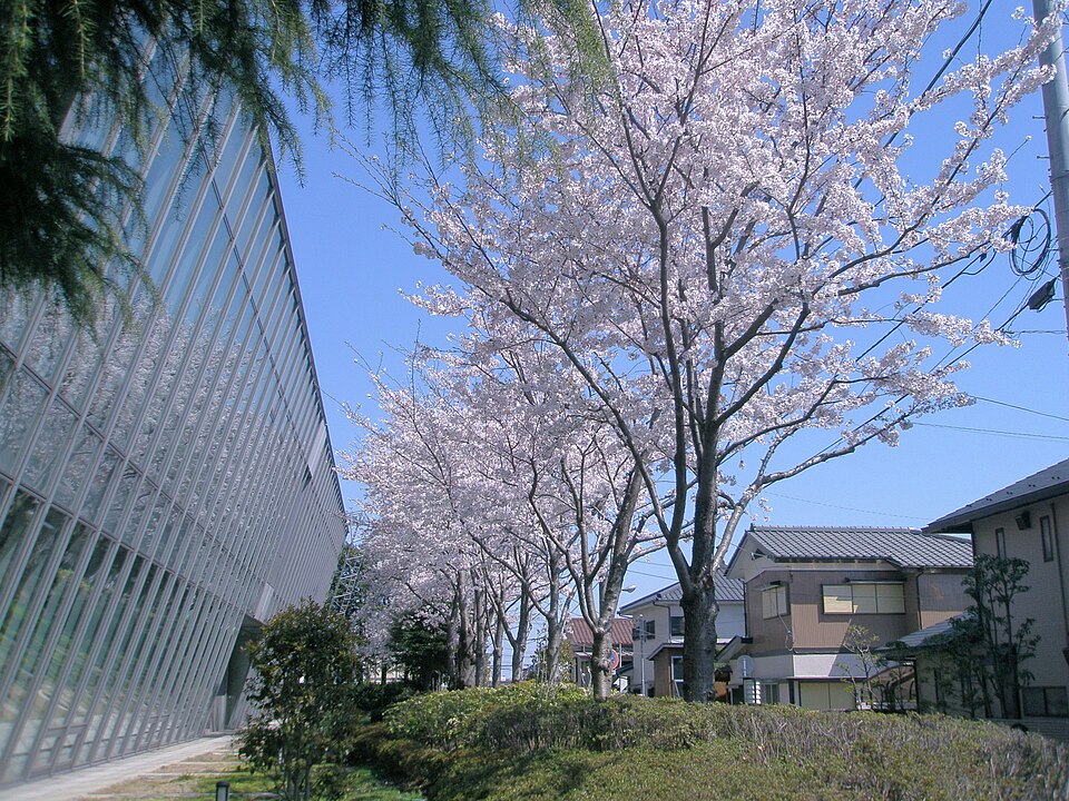 千葉中央図書館