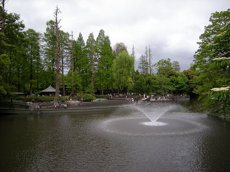 井の頭公園 橋