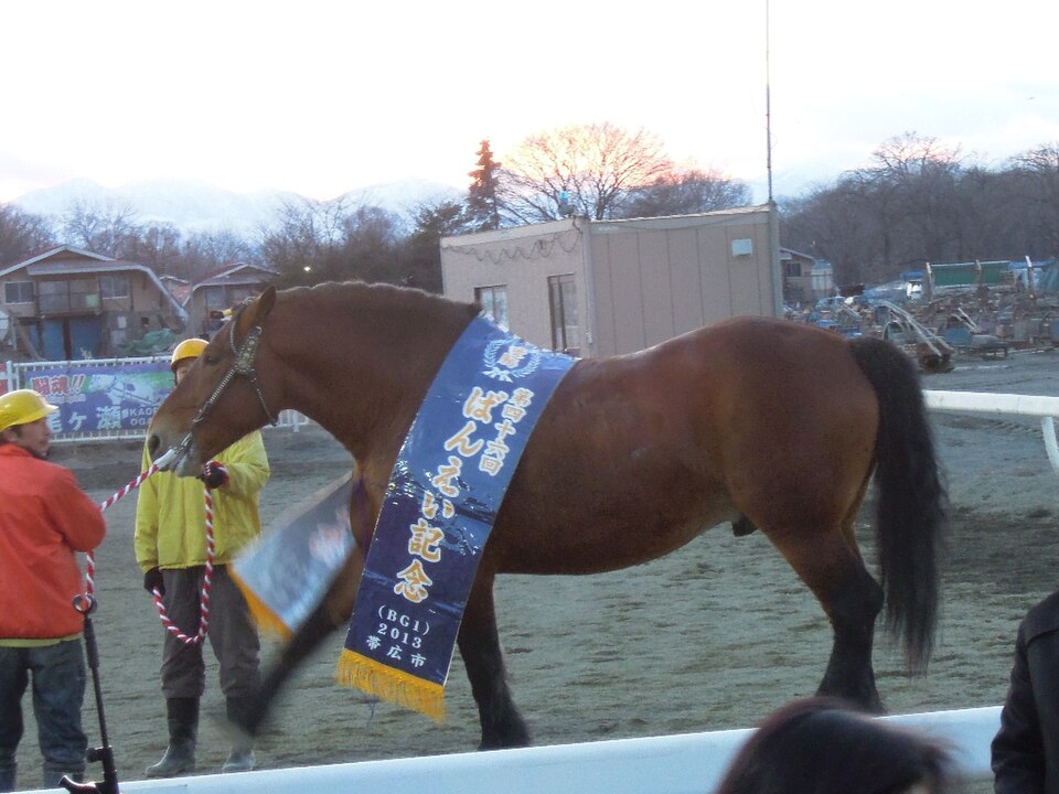 帯広競馬場