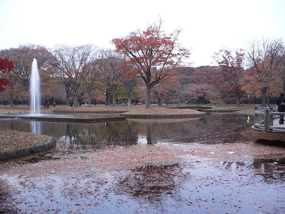代々木公園 噴水付近