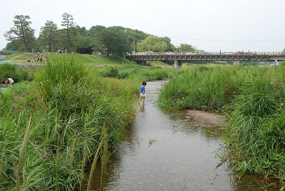 鴨川デルタ