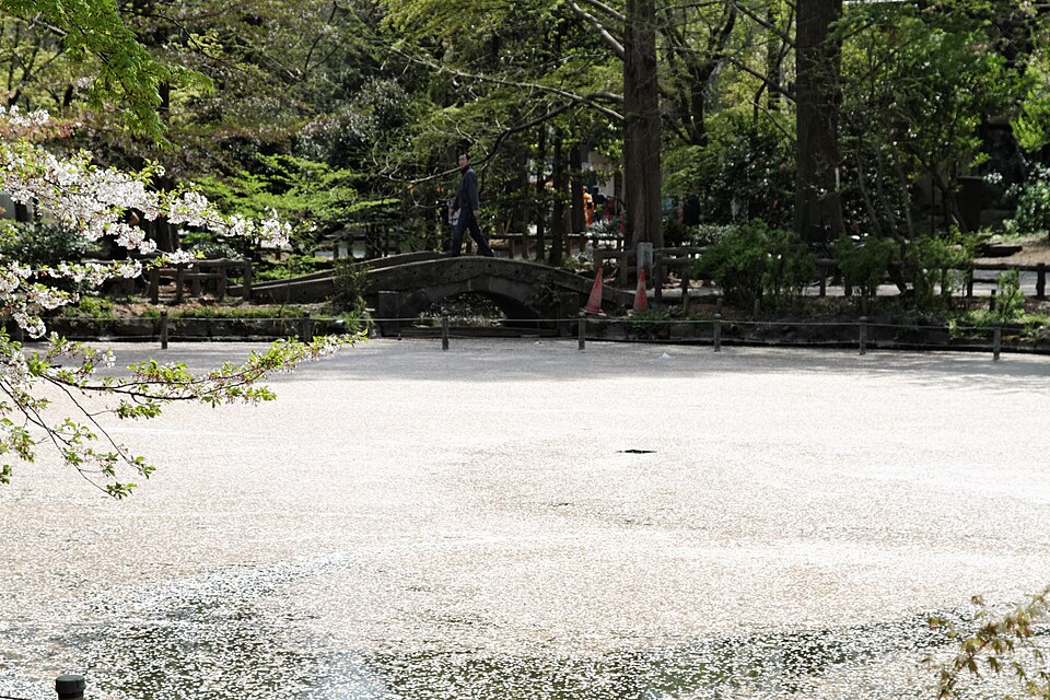 8井之头公园