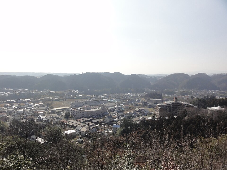 天覧山山頂付近