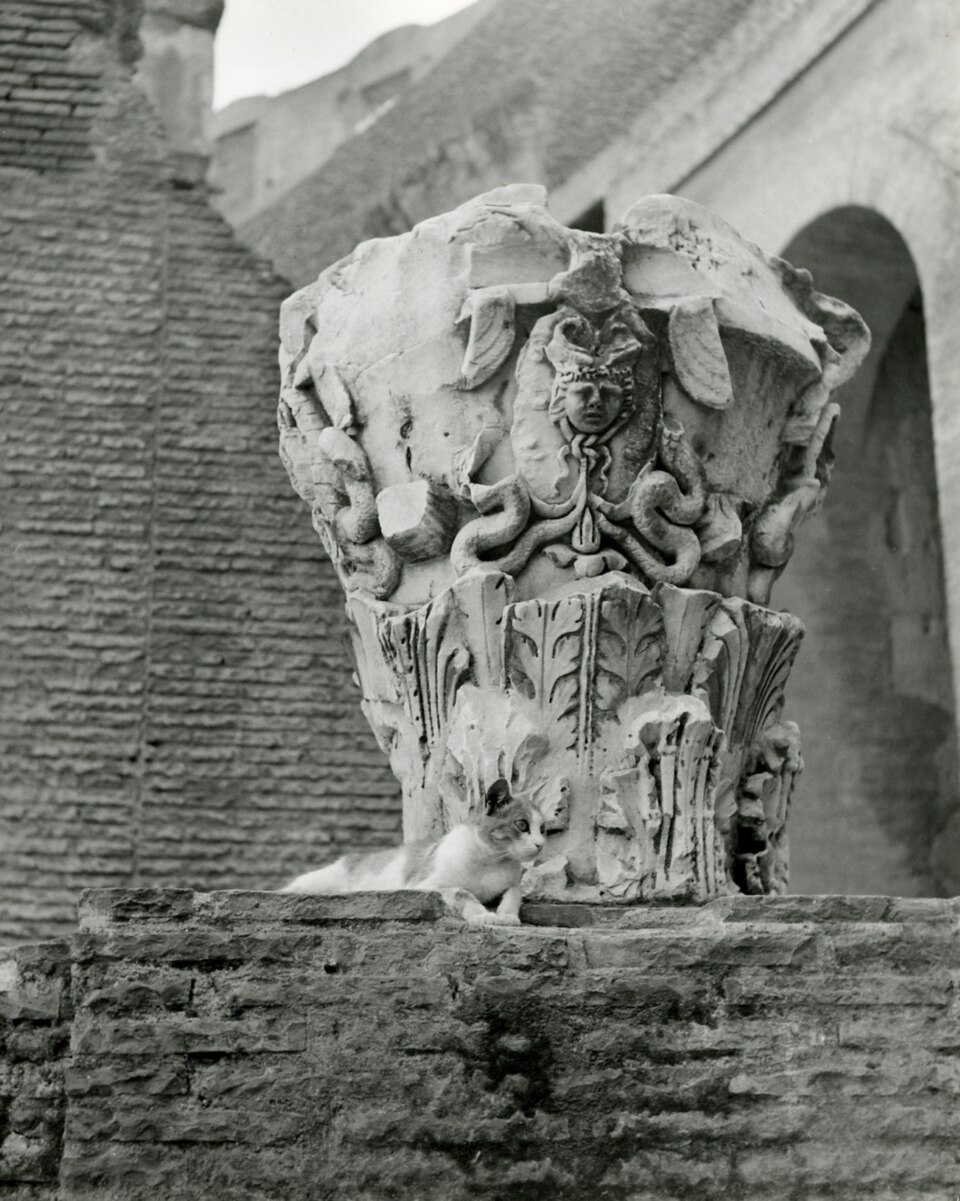 Colosseum-in-Rome