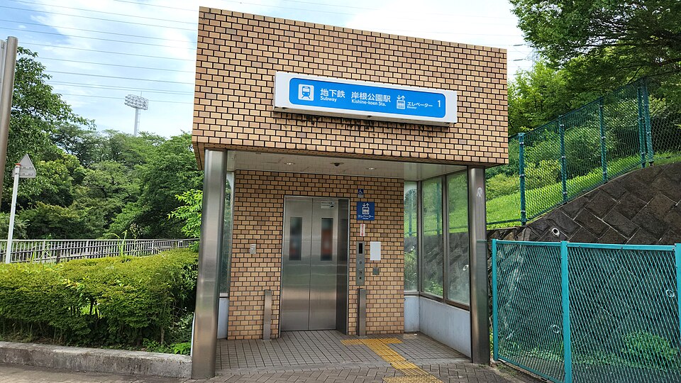 ED里的桥