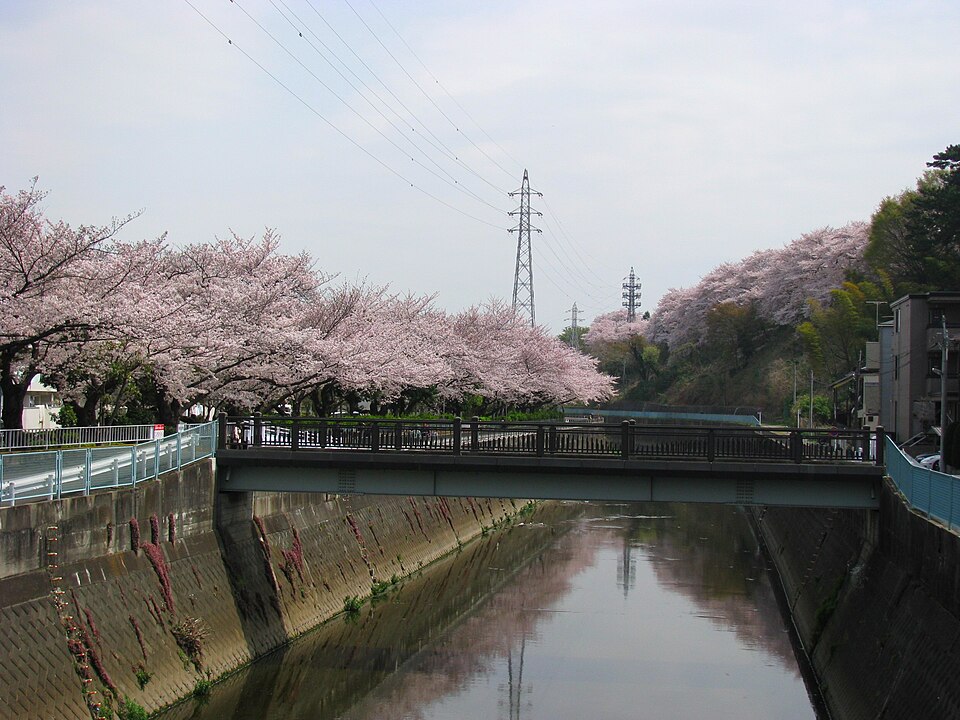 店長の散歩道