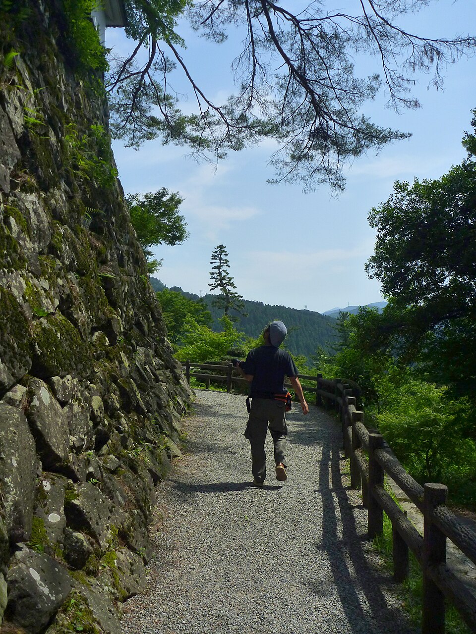 郡上八幡城