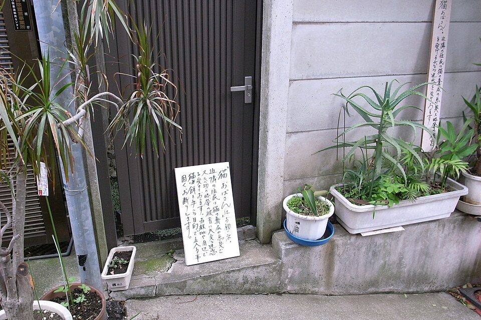 Sapuri 西荻窪 髪質改善