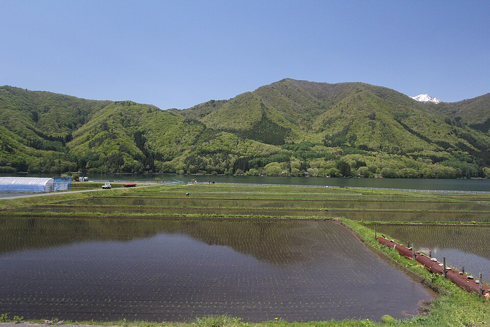 縁川商店