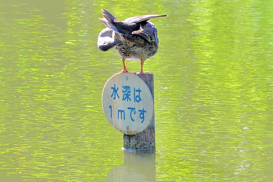 もえぎ野公園前