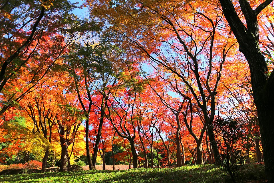 武道馆旁