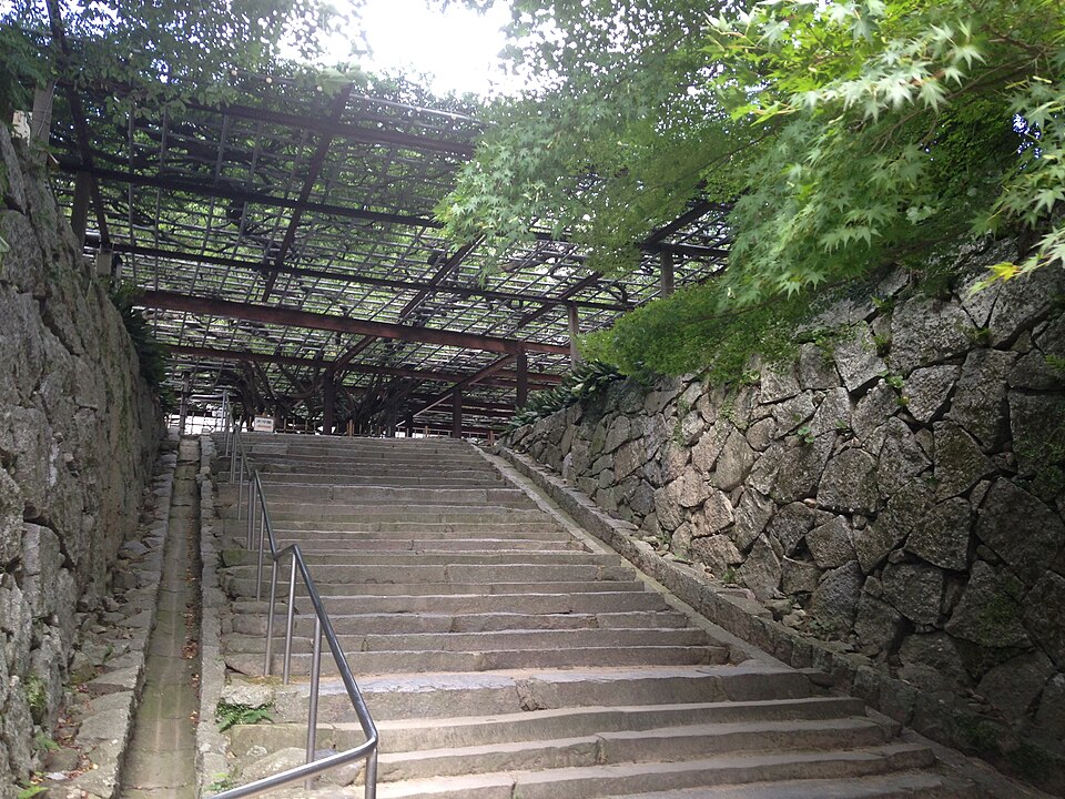 唐津城藤棚