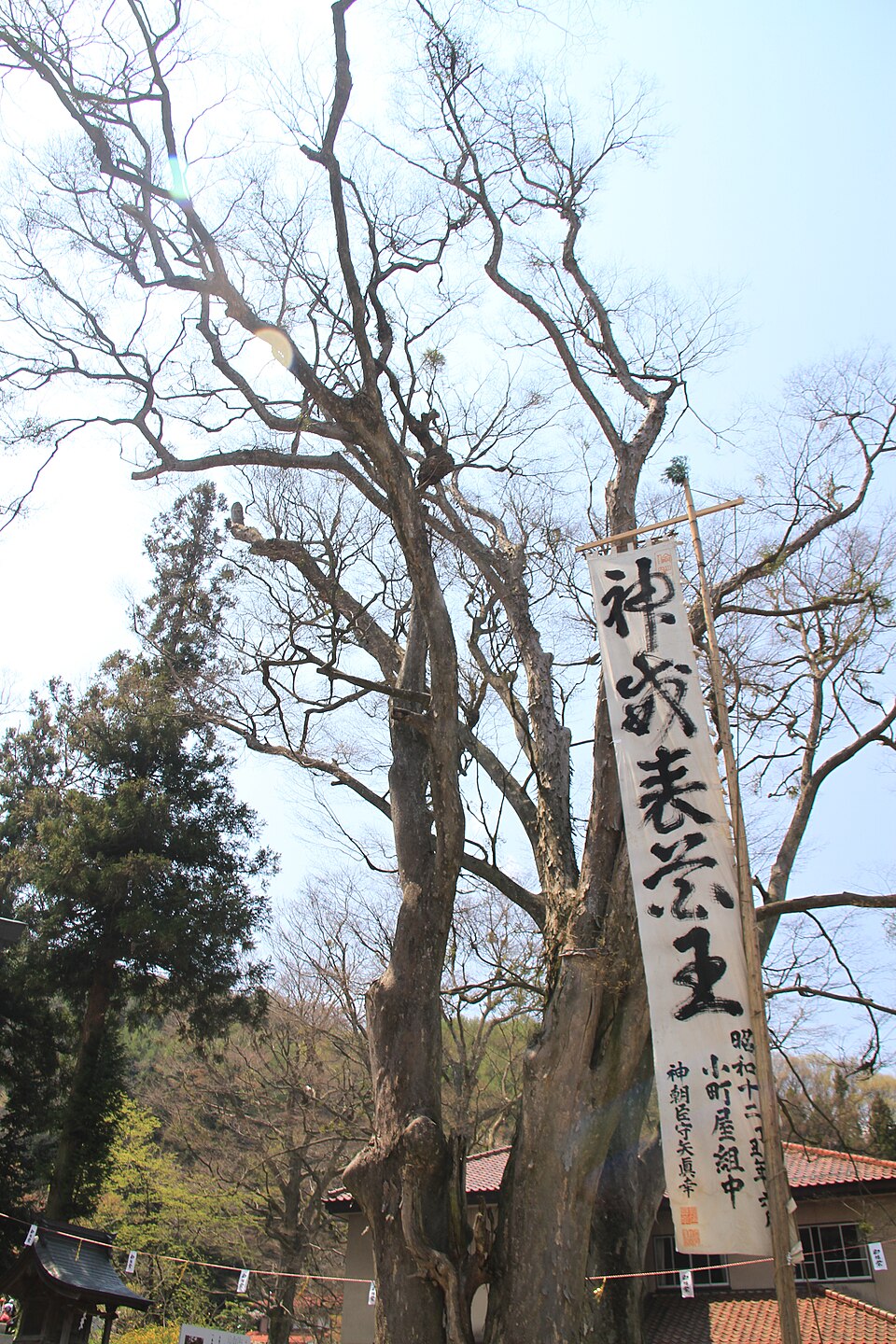 諏訪大社 上社前宮