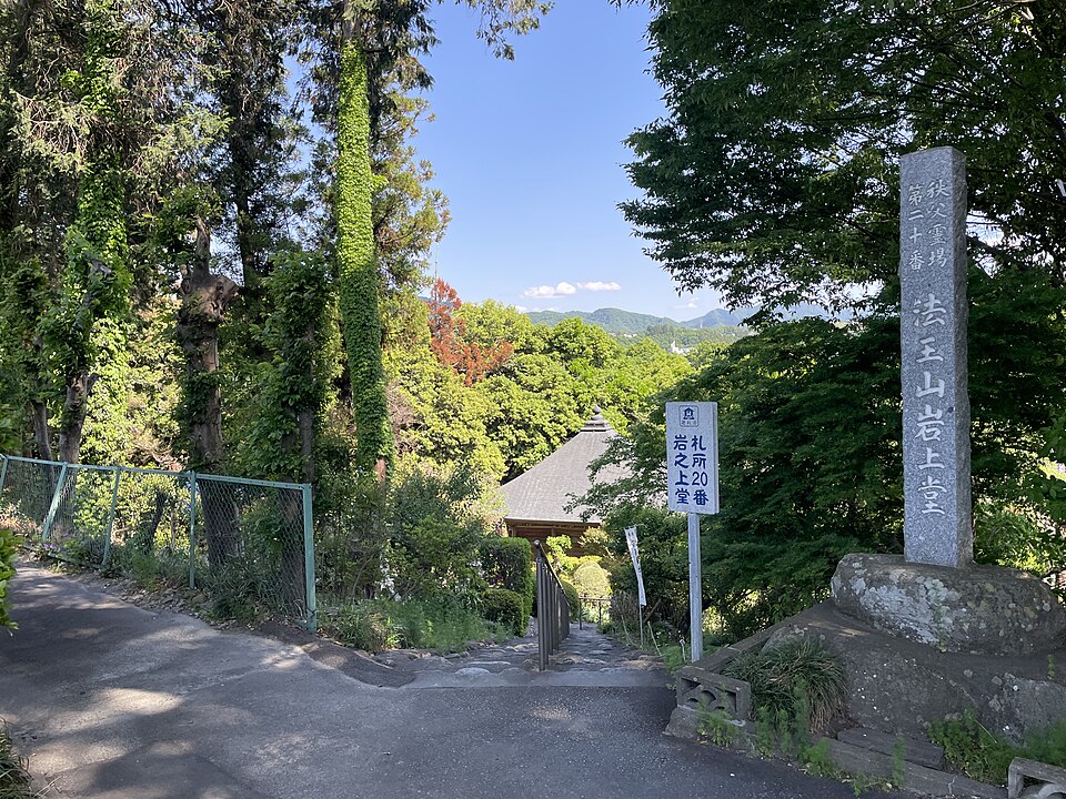 新秩父橋奥斜面