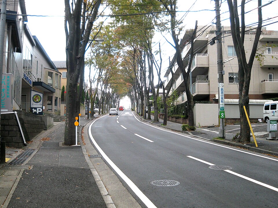 上学路2