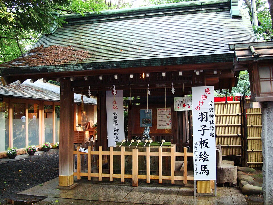 将軍梅